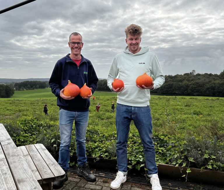 pompoenen van boer Chris