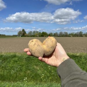 Voedselverspilling verminderen