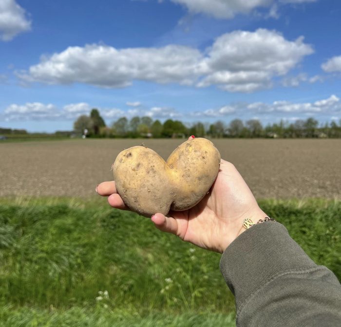 Voedselverspilling verminderen
