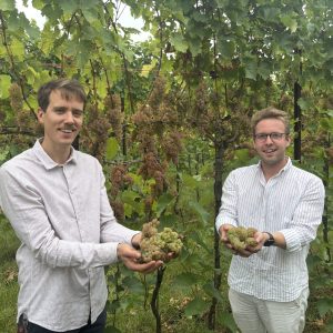 Wijnboeren Jerom en Simon