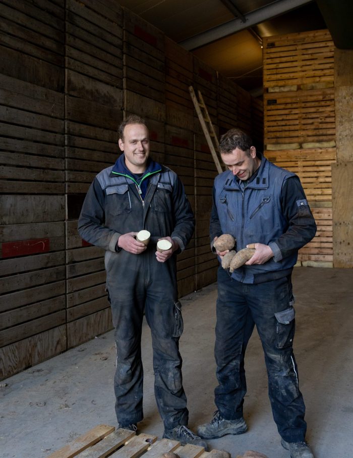 Zoete aardappels ophalen Wout
