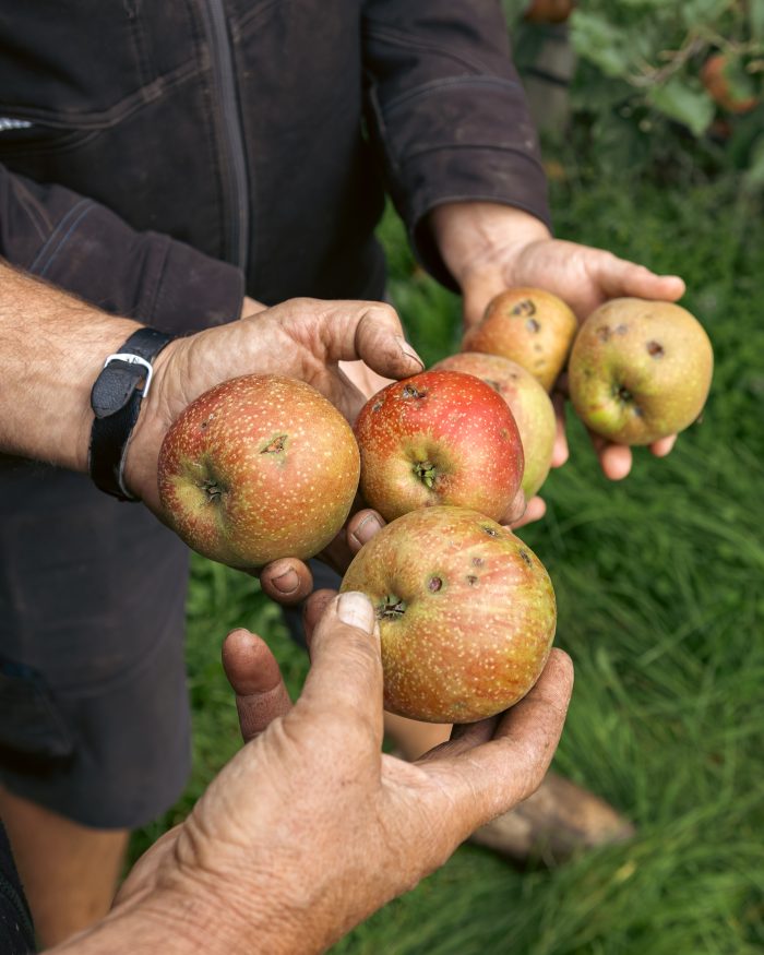 Appels en Peren doneren