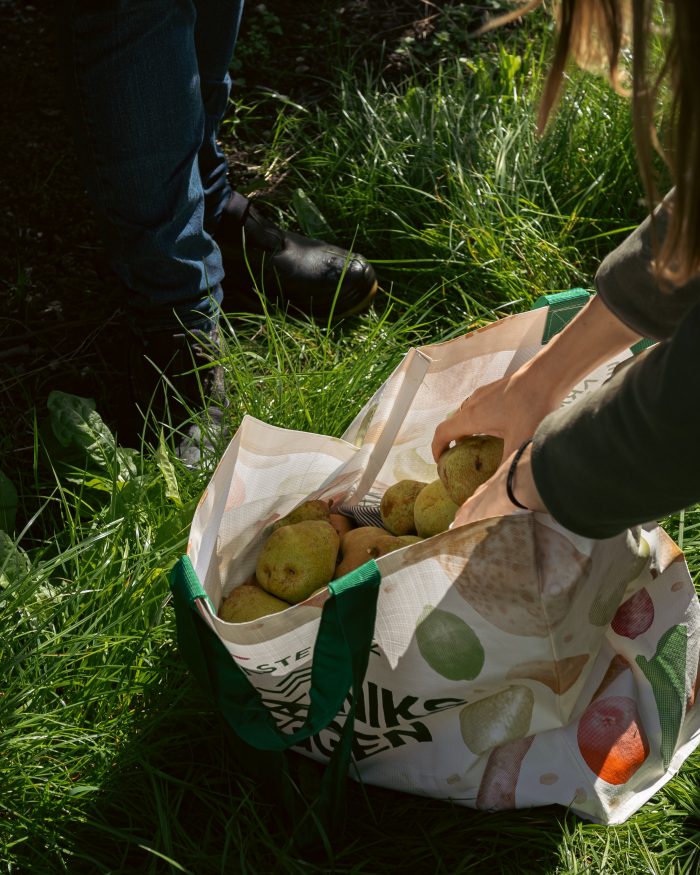 Appels en Peren ophalen