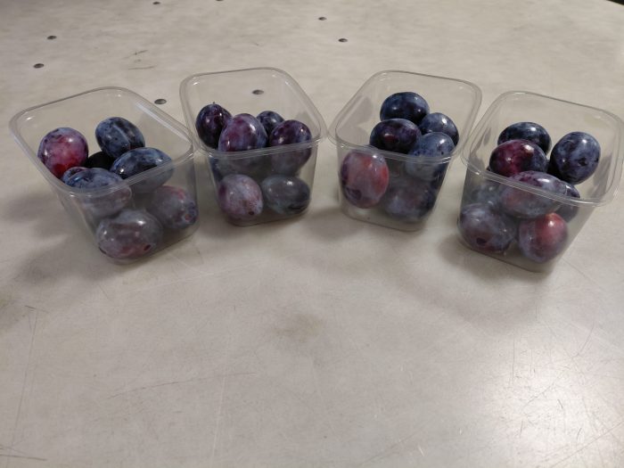 Bakjes pruimen van 500 gram om te doneren aan de Voedselbank