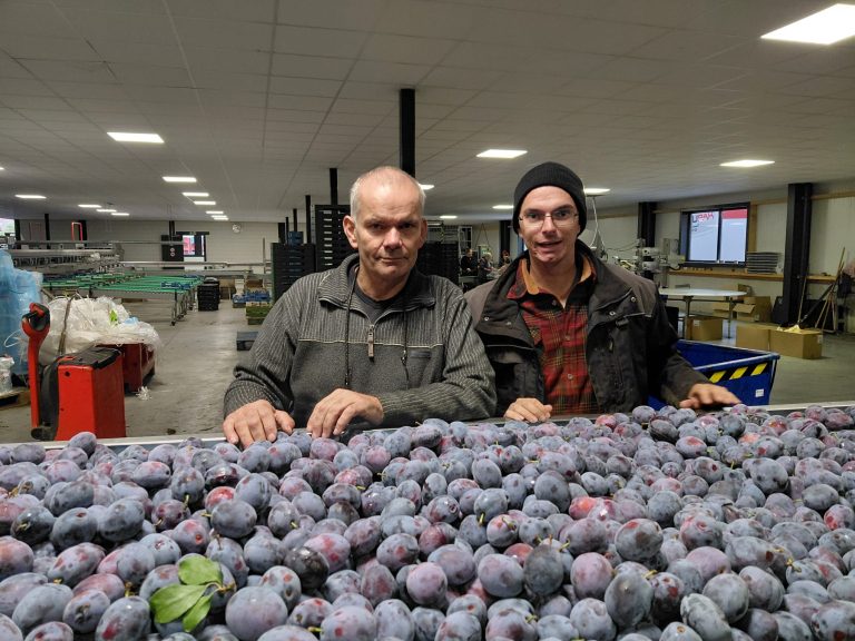 Frederik en Marius van B&B Fruit achter een kist vol pruimen voor de Voedselbank