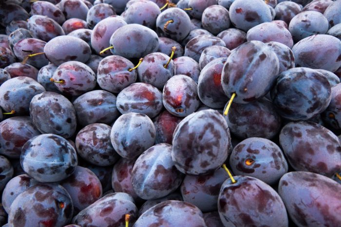 Close up van geredde pruimen van B&B Fruit